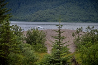 Filename=DSC_3857.jpg
Filesize=15017KiB
Dimensions=7360x4912
Date added=Sep 16, 2019 DSC_3857.jpg