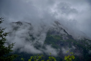 Filename=DSC_3941.jpg
Filesize=5562KiB
Dimensions=7360x4912
Date added=Sep 16, 2019 DSC_3941.jpg