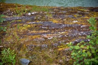 Filename=DSC_3965.jpg
Filesize=17671KiB
Dimensions=7360x4912
Date added=Sep 16, 2019 DSC_3965.jpg