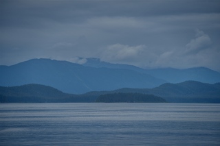 Filename=DSC_3994.jpg
Filesize=6143KiB
Dimensions=7360x4912
Date added=Sep 16, 2019 DSC_3994.jpg