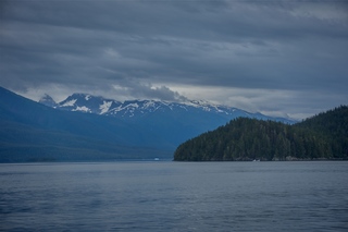 Filename=DSC_4011.jpg
Filesize=6002KiB
Dimensions=7360x4912
Date added=Sep 16, 2019 DSC_4011.jpg