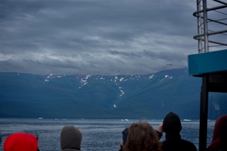 Filename=DSC_4015.jpg
Filesize=7006KiB
Dimensions=7360x4912
Date added=Sep 16, 2019 DSC_4015.jpg