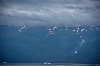 Filename=DSC_4017.jpg
Filesize=7093KiB
Dimensions=7360x4912
Date added=Sep 16, 2019 DSC_4017.jpg