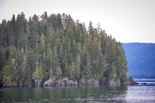 Filename=DSC_4018.jpg
Filesize=15047KiB
Dimensions=7360x4912
Date added=Sep 16, 2019 DSC_4018.jpg