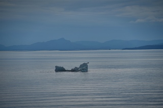 Filename=DSC_4020.jpg
Filesize=6086KiB
Dimensions=7360x4912
Date added=Sep 16, 2019 DSC_4020.jpg