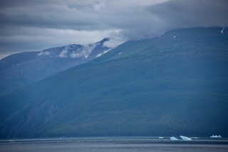 Filename=DSC_4022.jpg
Filesize=7693KiB
Dimensions=7360x4912
Date added=Sep 16, 2019 DSC_4022.jpg