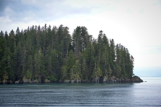 Filename=DSC_4023.jpg
Filesize=11563KiB
Dimensions=7360x4912
Date added=Sep 16, 2019 DSC_4023.jpg