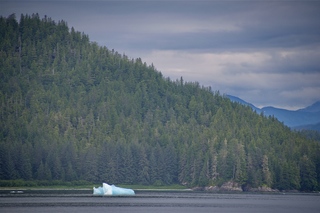 Filename=DSC_4028.jpg
Filesize=15494KiB
Dimensions=7360x4912
Date added=Sep 16, 2019 DSC_4028.jpg