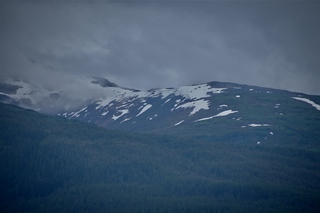 Filename=DSC_4030.jpg
Filesize=6066KiB
Dimensions=7360x4912
Date added=Sep 16, 2019 DSC_4030.jpg