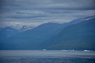 Filename=DSC_4033.jpg
Filesize=6633KiB
Dimensions=7360x4912
Date added=Sep 16, 2019 DSC_4033.jpg