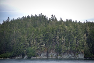 Filename=DSC_4042.jpg
Filesize=14344KiB
Dimensions=7360x4912
Date added=Sep 16, 2019 DSC_4042.jpg