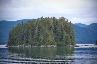 Filename=DSC_4044.jpg
Filesize=11860KiB
Dimensions=7360x4912
Date added=Sep 16, 2019 DSC_4044.jpg