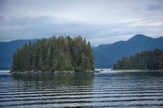 Filename=DSC_4045.jpg
Filesize=9445KiB
Dimensions=7360x4912
Date added=Sep 16, 2019 DSC_4045.jpg