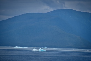 Filename=DSC_4066.jpg
Filesize=7239KiB
Dimensions=7360x4912
Date added=Sep 16, 2019 DSC_4066.jpg