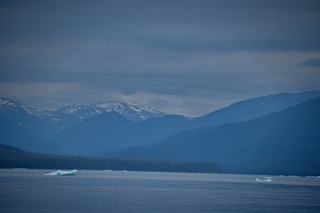 Filename=DSC_4067.jpg
Filesize=4685KiB
Dimensions=7360x4912
Date added=Sep 16, 2019 DSC_4067.jpg