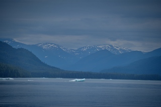 Filename=DSC_4068.jpg
Filesize=5114KiB
Dimensions=7360x4912
Date added=Sep 16, 2019 DSC_4068.jpg