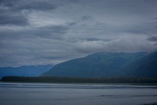 Filename=DSC_4092.jpg
Filesize=7109KiB
Dimensions=7360x4912
Date added=Sep 16, 2019 DSC_4092.jpg