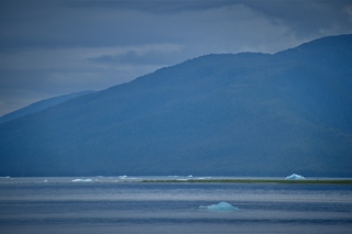 Filename=DSC_4095.jpg
Filesize=5994KiB
Dimensions=7360x4912
Date added=Sep 16, 2019 DSC_4095.jpg