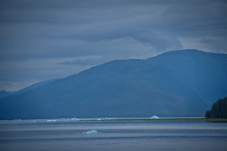 Filename=DSC_4096.jpg
Filesize=5370KiB
Dimensions=7360x4912
Date added=Sep 16, 2019 DSC_4096.jpg