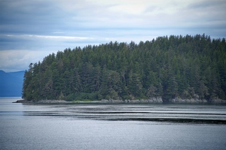 Filename=DSC_4100.jpg
Filesize=11503KiB
Dimensions=7360x4912
Date added=Sep 16, 2019 DSC_4100.jpg