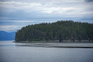 Filename=DSC_4101.jpg
Filesize=10250KiB
Dimensions=7360x4912
Date added=Sep 16, 2019 DSC_4101.jpg