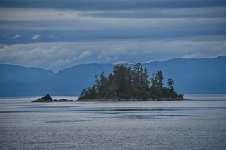 Filename=DSC_4103.jpg
Filesize=8037KiB
Dimensions=7360x4912
Date added=Sep 16, 2019 DSC_4103.jpg