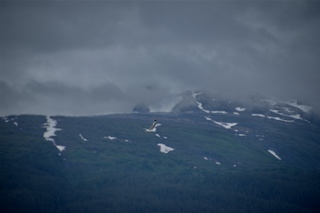 Filename=DSC_4110.jpg
Filesize=3664KiB
Dimensions=7360x4912
Date added=Sep 16, 2019 DSC_4110.jpg