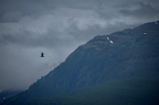 Filename=DSC_4114.jpg
Filesize=4032KiB
Dimensions=7360x4912
Date added=Sep 16, 2019 DSC_4114.jpg