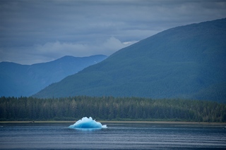 Filename=DSC_4132.jpg
Filesize=8889KiB
Dimensions=7360x4912
Date added=Sep 16, 2019 DSC_4132.jpg