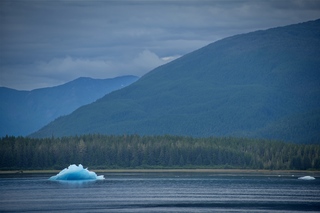 Filename=DSC_4133.jpg
Filesize=7632KiB
Dimensions=7360x4912
Date added=Sep 16, 2019 DSC_4133.jpg