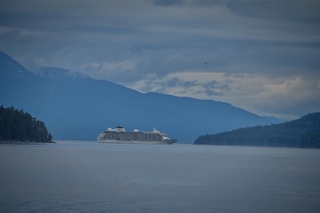 Filename=DSC_4140.jpg
Filesize=4121KiB
Dimensions=7360x4912
Date added=Sep 16, 2019 DSC_4140.jpg