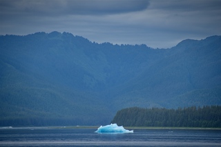 Filename=DSC_4153.jpg
Filesize=7249KiB
Dimensions=7360x4912
Date added=Sep 16, 2019 DSC_4153.jpg