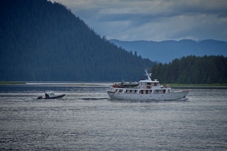 Filename=DSC_4154.jpg
Filesize=9612KiB
Dimensions=7360x4912
Date added=Sep 16, 2019 DSC_4154.jpg