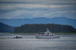 Filename=DSC_4156.jpg
Filesize=7973KiB
Dimensions=7360x4912
Date added=Sep 16, 2019 DSC_4156.jpg