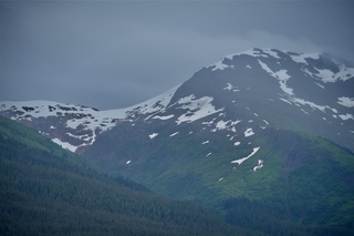 Filename=DSC_4159.jpg
Filesize=6870KiB
Dimensions=7360x4912
Date added=Sep 16, 2019 DSC_4159.jpg