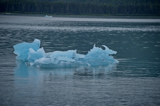 Filename=DSC_4182.jpg
Filesize=10205KiB
Dimensions=7360x4912
Date added=Sep 16, 2019 DSC_4182.jpg