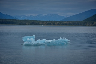 Filename=DSC_4185.jpg
Filesize=6815KiB
Dimensions=7360x4912
Date added=Sep 16, 2019 DSC_4185.jpg