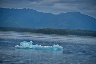 Filename=DSC_4189.jpg
Filesize=9540KiB
Dimensions=7360x4912
Date added=Sep 16, 2019 DSC_4189.jpg