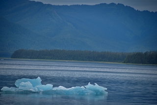 Filename=DSC_4190.jpg
Filesize=6917KiB
Dimensions=7360x4912
Date added=Sep 16, 2019 DSC_4190.jpg