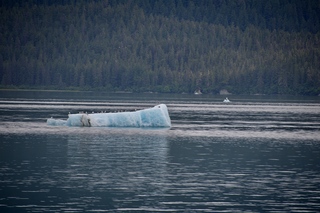 Filename=DSC_4192.jpg
Filesize=12559KiB
Dimensions=7360x4912
Date added=Sep 16, 2019 DSC_4192.jpg