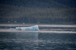 Filename=DSC_4194.jpg
Filesize=10968KiB
Dimensions=7360x4912
Date added=Sep 16, 2019 DSC_4194.jpg