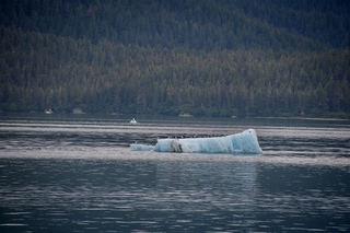 Filename=DSC_4195.jpg
Filesize=10687KiB
Dimensions=7360x4912
Date added=Sep 16, 2019 DSC_4195.jpg