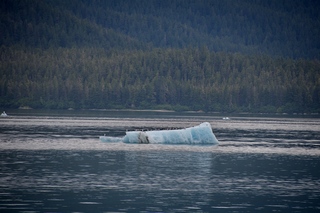 Filename=DSC_4196.jpg
Filesize=11696KiB
Dimensions=7360x4912
Date added=Sep 16, 2019 DSC_4196.jpg