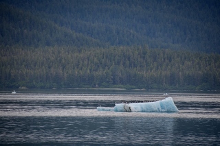 Filename=DSC_4197.jpg
Filesize=12498KiB
Dimensions=7360x4912
Date added=Sep 16, 2019 DSC_4197.jpg