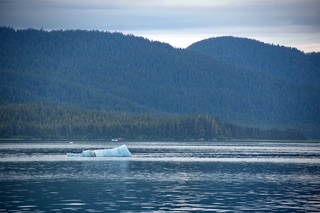 Filename=DSC_4198.jpg
Filesize=9181KiB
Dimensions=7360x4912
Date added=Sep 16, 2019 DSC_4198.jpg