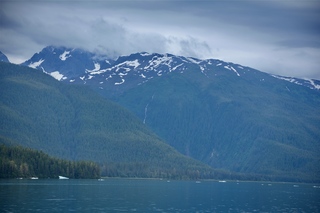 Filename=DSC_4211.jpg
Filesize=6851KiB
Dimensions=7360x4912
Date added=Sep 16, 2019 DSC_4211.jpg