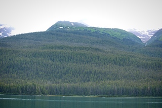 Filename=DSC_4213.jpg
Filesize=11234KiB
Dimensions=7360x4912
Date added=Sep 16, 2019 DSC_4213.jpg