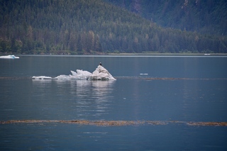 Filename=DSC_4227.jpg
Filesize=10572KiB
Dimensions=7360x4912
Date added=Sep 16, 2019 DSC_4227.jpg