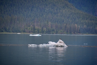 Filename=DSC_4228.jpg
Filesize=11023KiB
Dimensions=7360x4912
Date added=Sep 16, 2019 DSC_4228.jpg