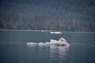 Filename=DSC_4229.jpg
Filesize=11565KiB
Dimensions=7360x4912
Date added=Sep 16, 2019 DSC_4229.jpg